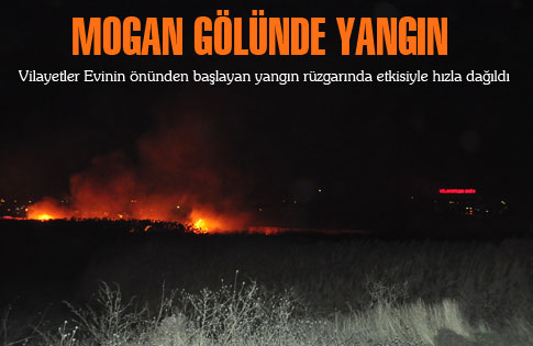 Mogan Gölünde Yangın