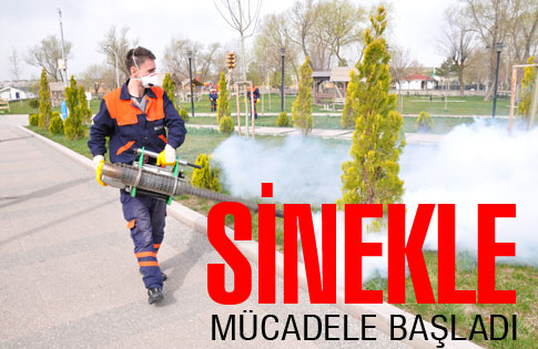 Sinekle Mücadele Başladı