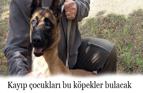 Kayıp çocukları bu köpekler bulacak