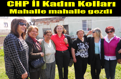 CHP Kadın Kollarından Alan Çalışması