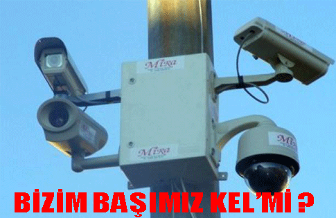 Bizim Başımız Kel mi?