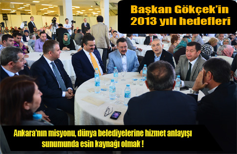 Gökçekin 2013 yılı Hedefleri