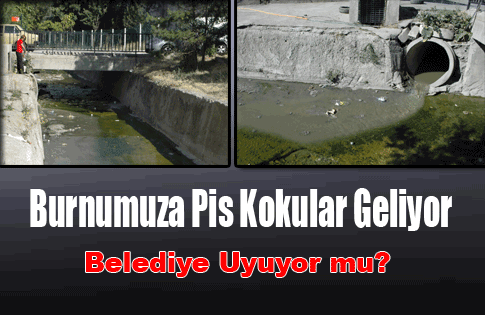 Burnumuza Pis Kokular Geliyor