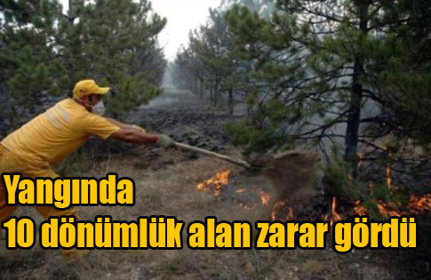 Yine Ciğerlerimiz Yandı !