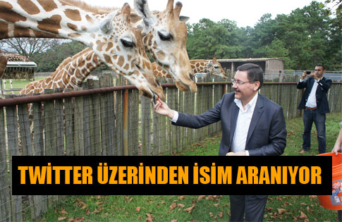 DEV TEMA PARK’A İSİM ARANIYOR