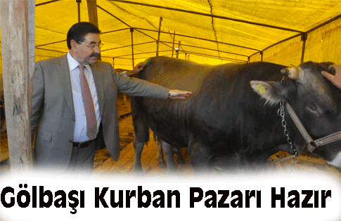 Gölbaşı’nda kurban pazarı hazır