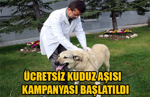 Gölbaşında ücretsiz kuduz aşısı kampanyası