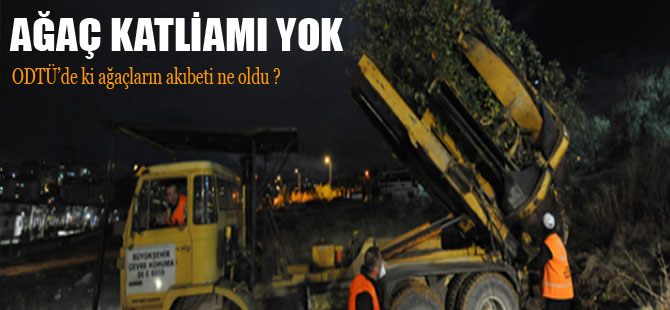 ODTÜ'de ağaç katliamı yapılıyor mu?