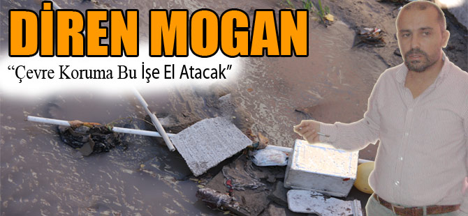 "DİREN MOGAN"