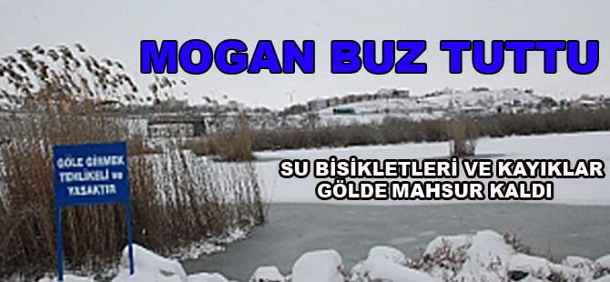 MOGAN BUZ TUTTU