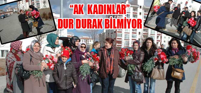 "AK KADINLAR" DUR DURAK BİLMİYOR