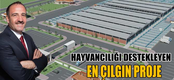 HAYVANCILIĞI DESTEKLEYEN EN ÇILGIN PROJE