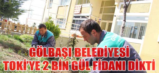 TOKİ'YE 2 BİN GÜL FİDANI