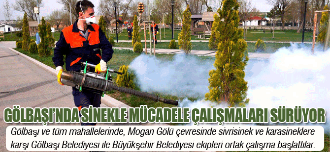 SİNEKLERLE MÜCADELE BAŞLADI