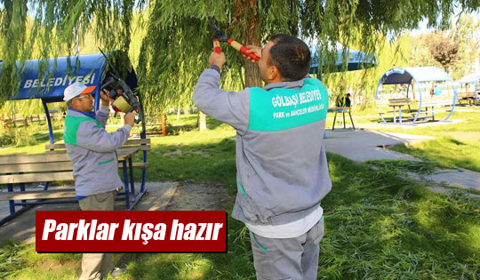 Parklara Ve Ağaçlara Kış Bakımı