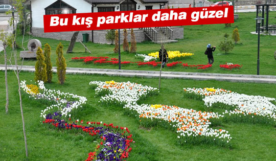 50 bin lale soğanı toprakla buluştu