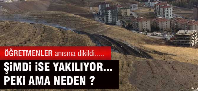 ÖĞRETMENLER ANISINA DİKİLEN AĞAÇLAR NEDEN YAKILIYOR?