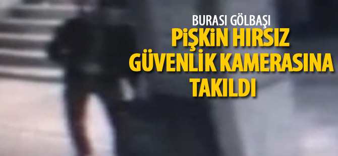 Hırsız güvenlik kamerasına takıldı