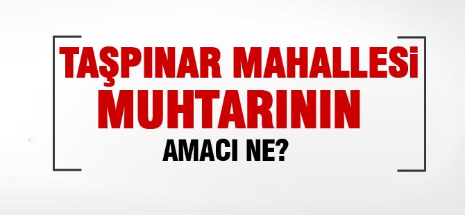 Taşpınar Muhtarının amacı ne?