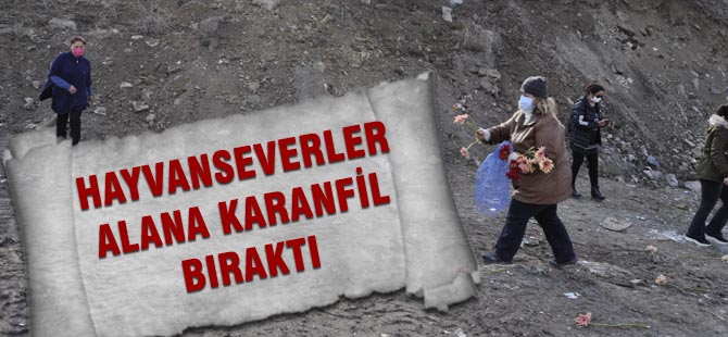 Hayvanseverler alana karanfil bıraktı