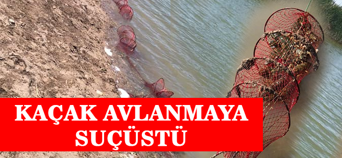 Kaçak avcılık yapanlara suçüstü