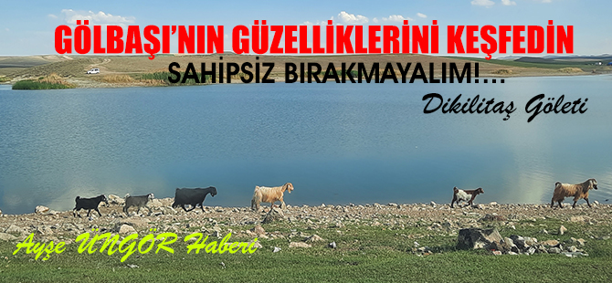 Dikilitaş Göleti’ni sahipsiz bırakmayın