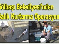 Gölbaşı Belediyesi balık kurtarma Operasyonu