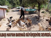 GÖLBAŞI HAVYAN BARINAĞI BÜYÜKŞEHİRE DEVREDİLDİ