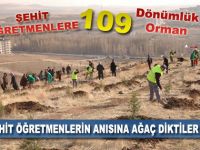 Şehit Öğretmenlere 109 Dönümlük Orman