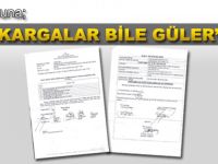 Bu işe kargalar çok gülecek