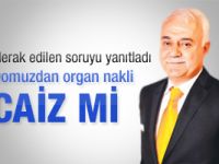 Hatipoğlu: Domuzdan organ alınması caiz