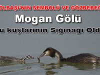 Su kuşlarının sığınağı: Mogan