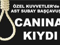 CANINA KIYDI