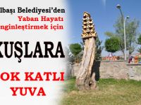 Kuşlara 6 katlı yuva