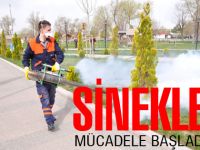 Sinekle Mücadele Başladı