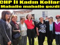 CHP Kadın Kollarından Alan Çalışması