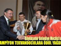 BÜYÜKŞEHİR BELEDİYE MECLİSİ’NDEN ŞAMPİYON TEKVANDOCULARA ÖDÜL YAĞDI