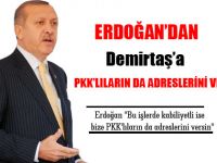 Erdoğandan Demirtaşa: PKKlıların Da Adreslerini Ver