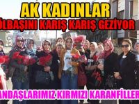 AK KADINLAR GÖLBAŞINI KARIŞ KARIŞ GEZİYOR