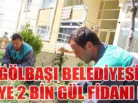 TOKİ'YE 2 BİN GÜL FİDANI