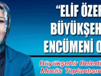 Elif Özer Büyükşehir Belediye Encümeni oldu.