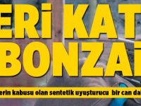 Seri katil bonzai