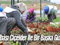 Gölbaşı Çiçekler İle Renklendi