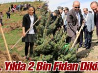 50 . Yılda 2 Bin Fidan Dikildi