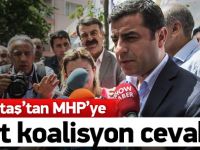 Demirtaş'tan MHP'ye çok ağır sözler