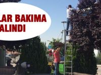 Gölbaşı'nda parklar bakıma alındı