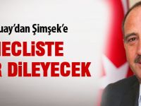 Duruay, 'Şimşek mecliste özür dileyecek'