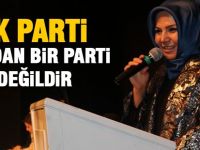 Elif Özer; "AK Parti'yi engelleyenler var"