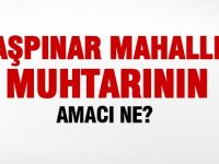 Taşpınar Muhtarının amacı ne?