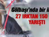 Gölbaşı'nda bir ilk; Köpekler yarıştı